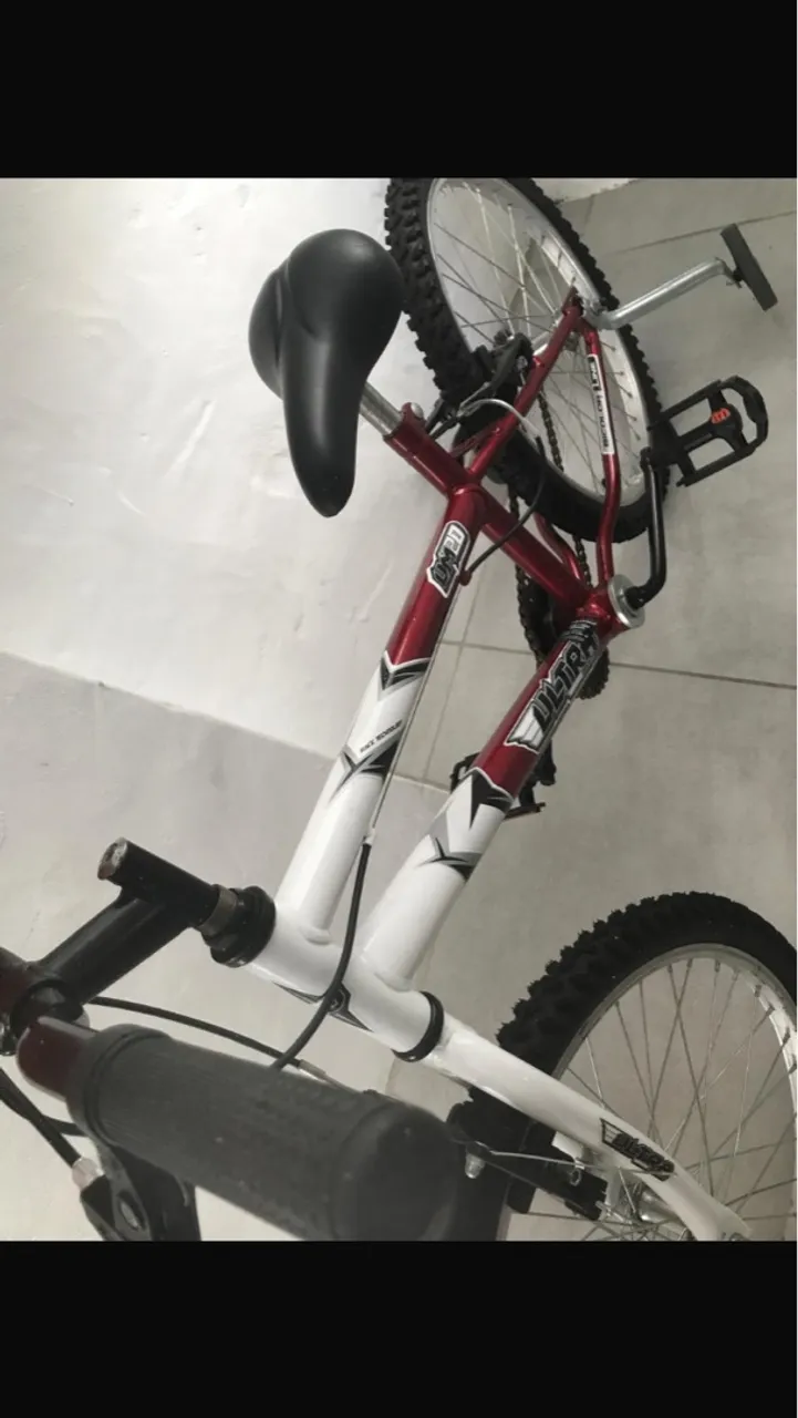 Bicicleta infantil aro 20
