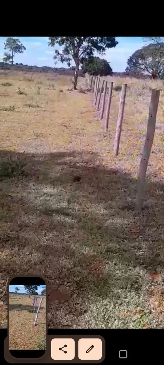 Vendo sítio 3 hectares