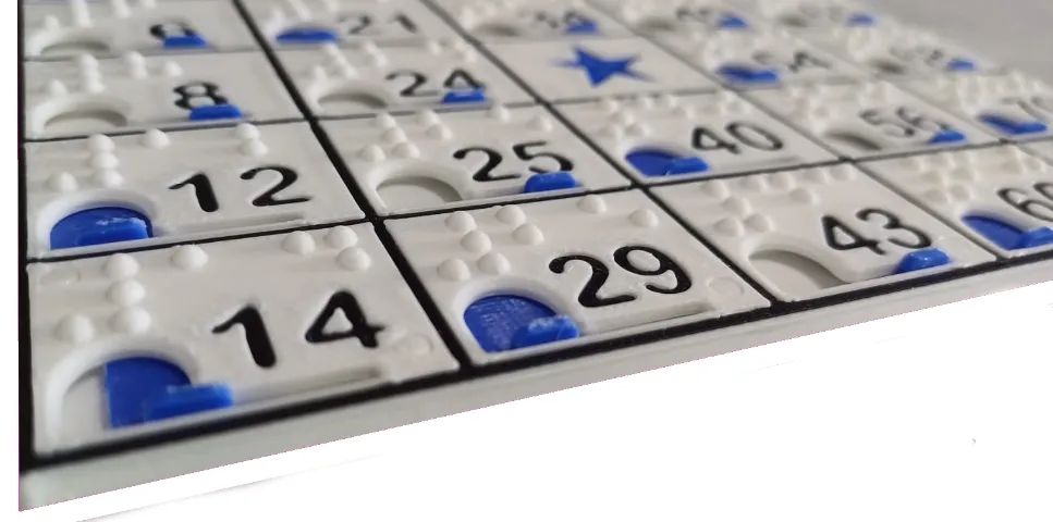 Cartela de BINGO para deficientes visuais - Foto 4