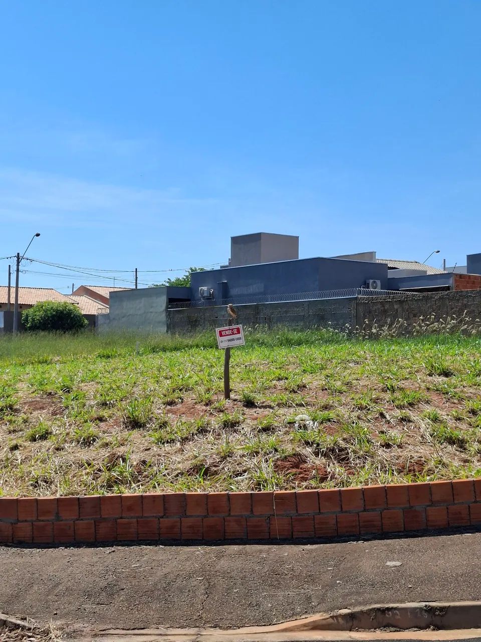 Foto - Mirassol - Portal da Cidade Amiga