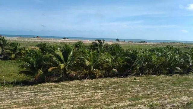 Terreno Camocim venda  - Foto 3
