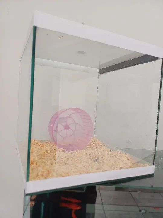 Terrario para Roedores - Foto 2