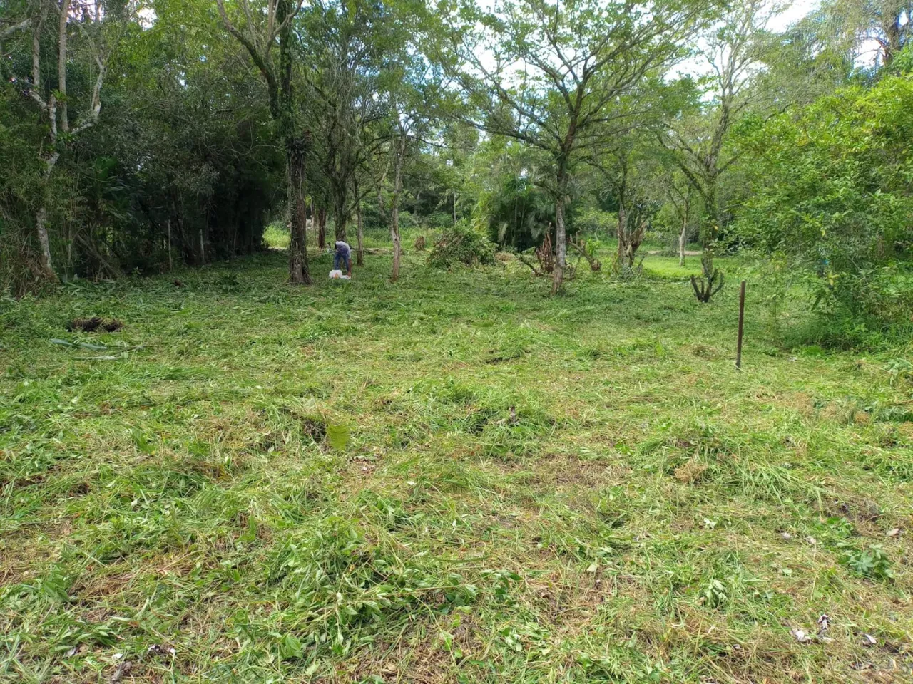 Terreno para Venda em Peruíbe, Caraguava