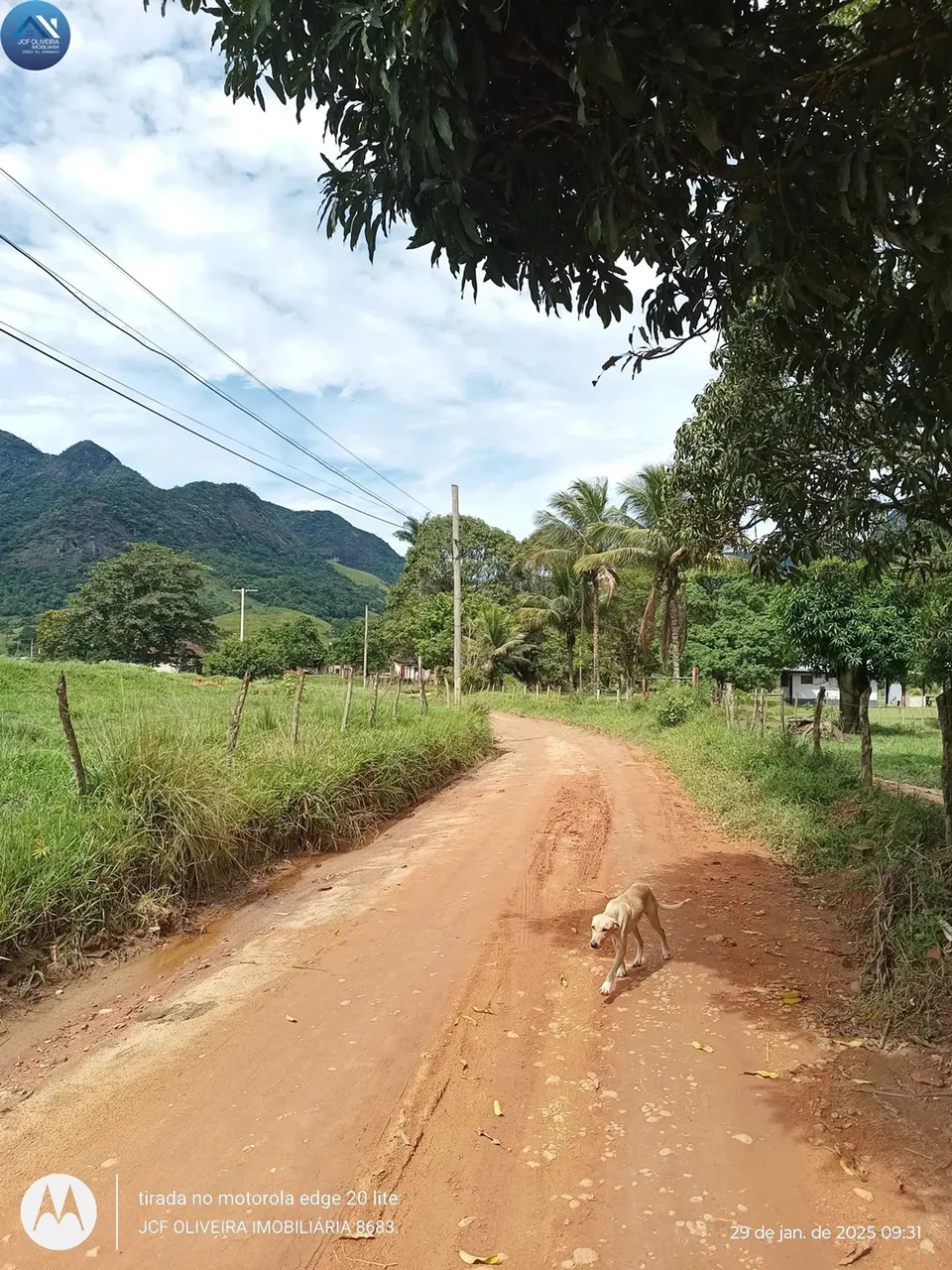 Imóvel para venda tem 450 metros quadrados com 2 quartos