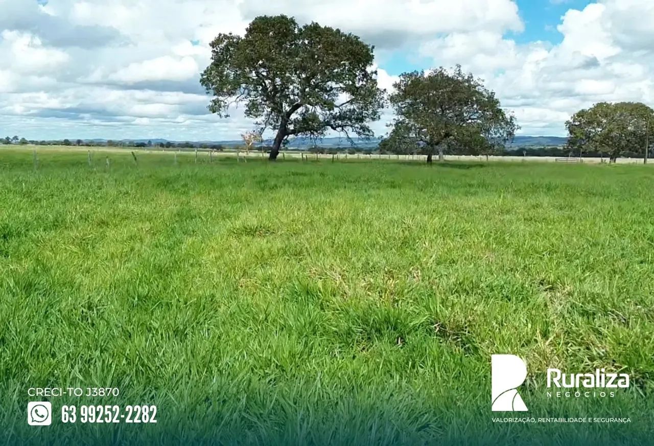 Colinas - TO Ideal para quem busca investir em pecuária com praticidade e excelente acesso - Foto 2
