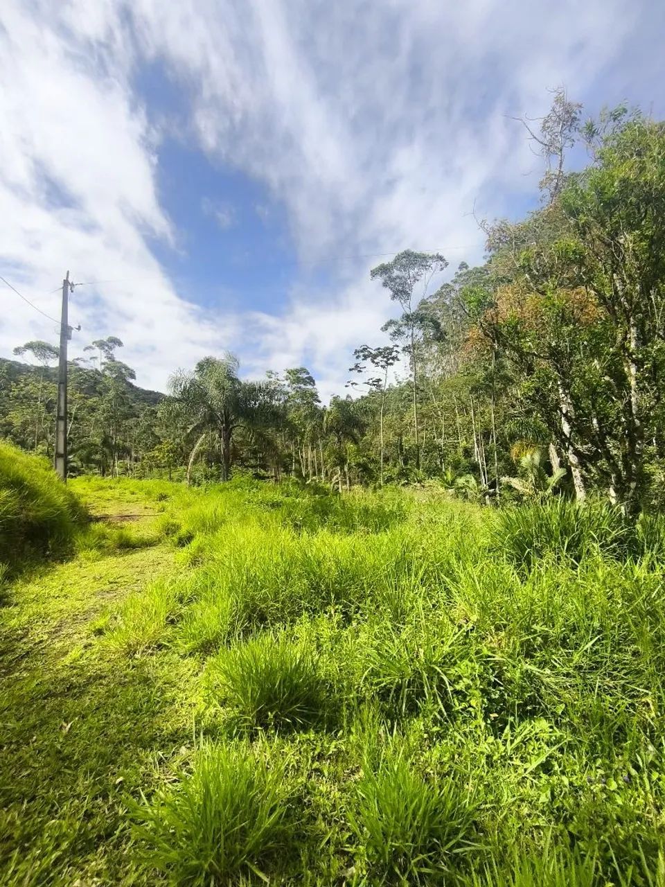 52 Hectares * Aceita permuta - Foto 5