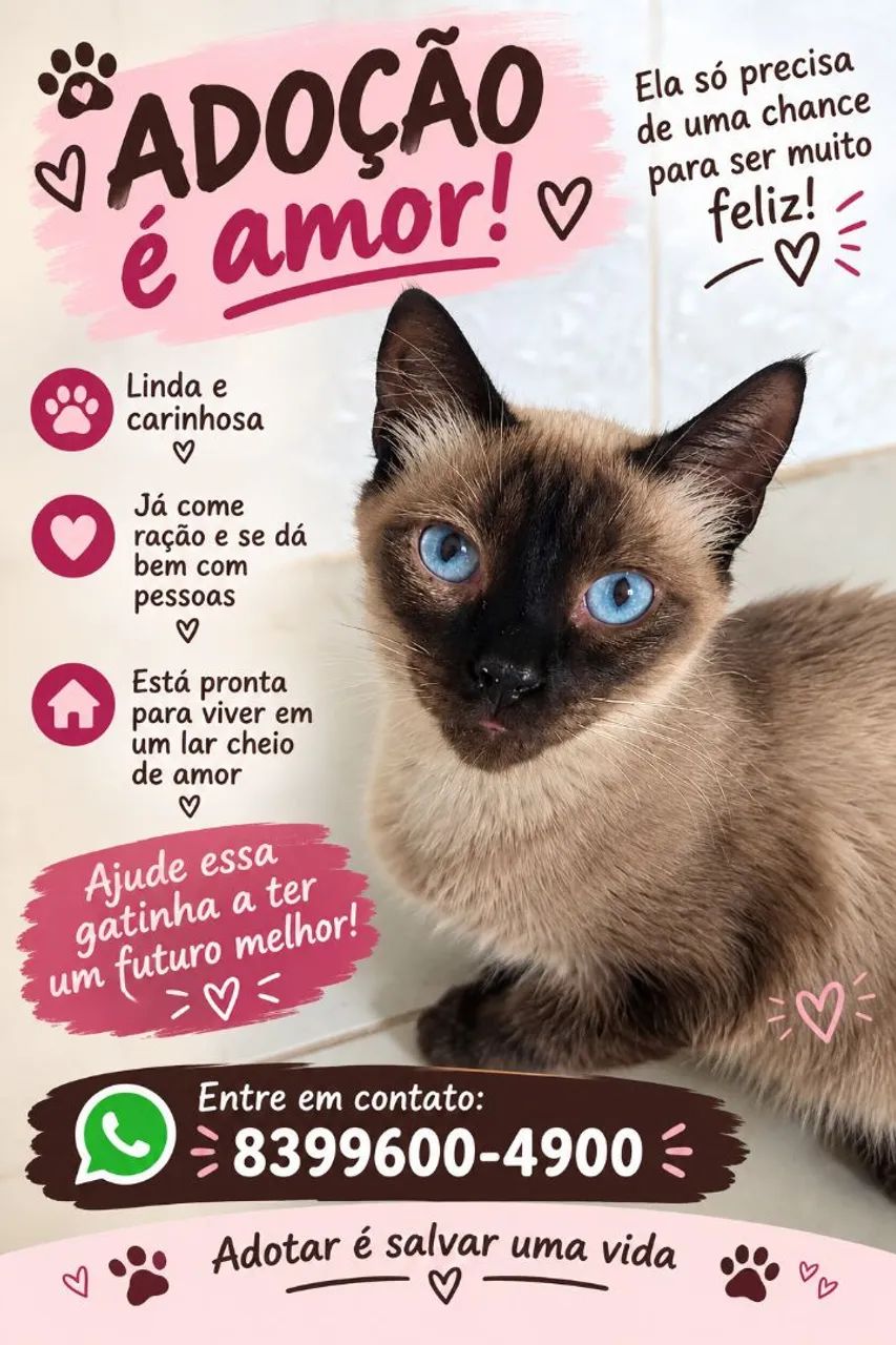 Adoção responsável