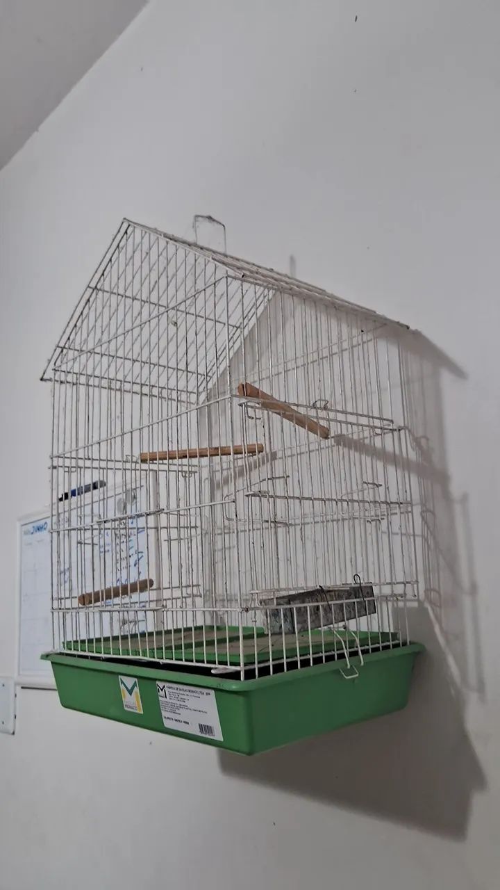 Gaiola de passaros 