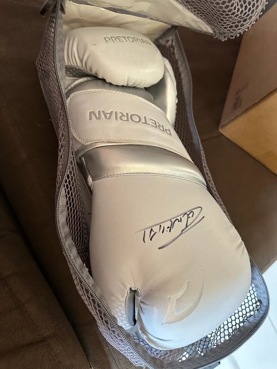 Par de luvas boxe autografadas
