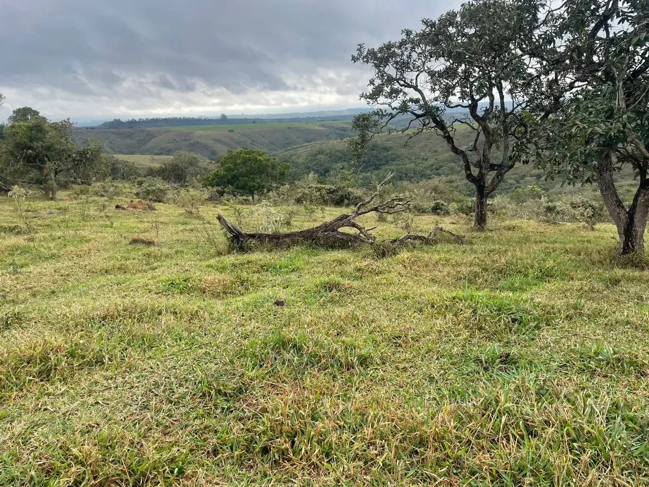 Fazenda dupla aptidão - Foto 3