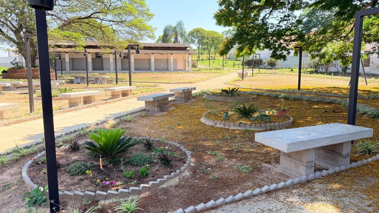 Vendo lindo sítio com Fonte de renda garantida  - Foto 4