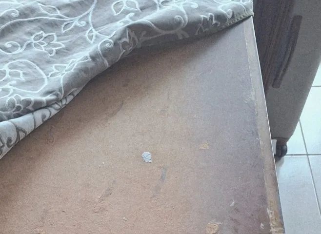 Mesa com 8 cadeiras de Madeira JACAUNA - Foto 2