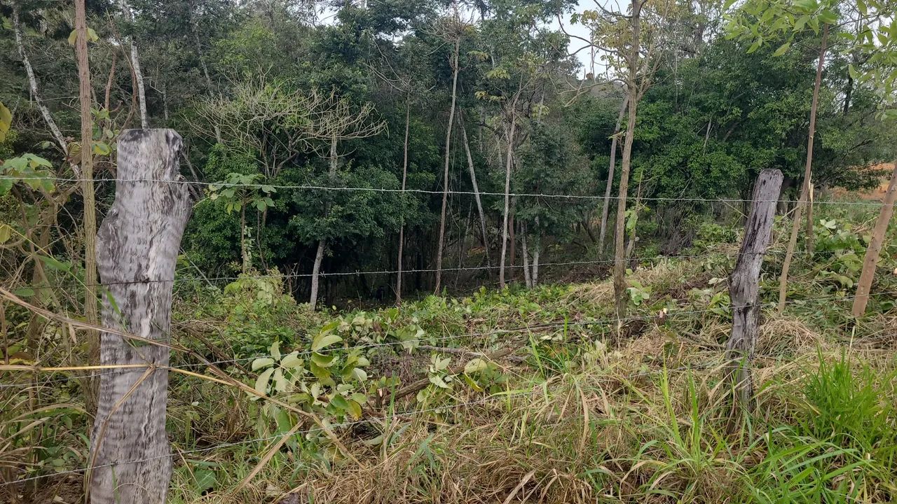 Lote  - Foto 5