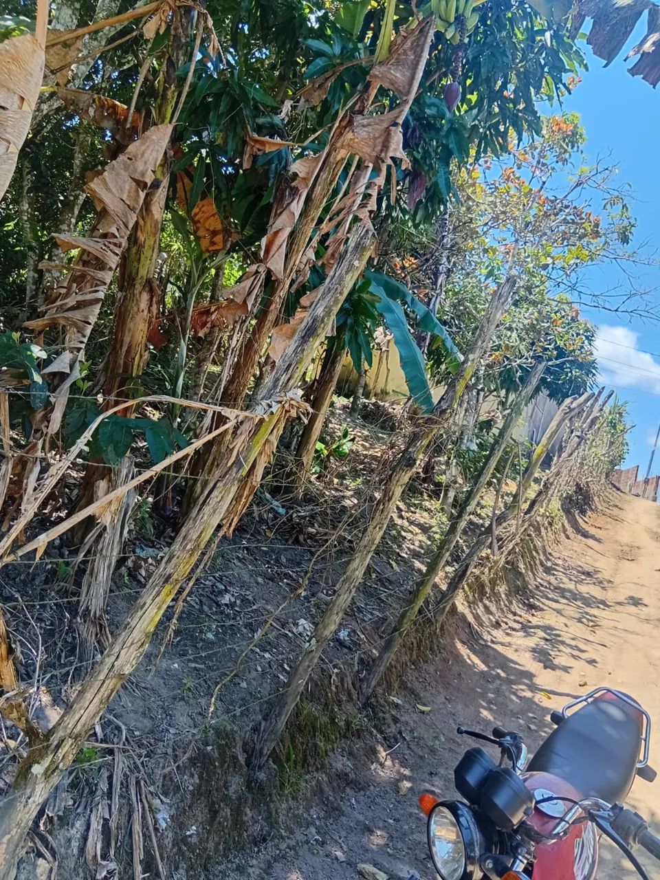 Sítio em São Joaquim do Monte  - Foto 4