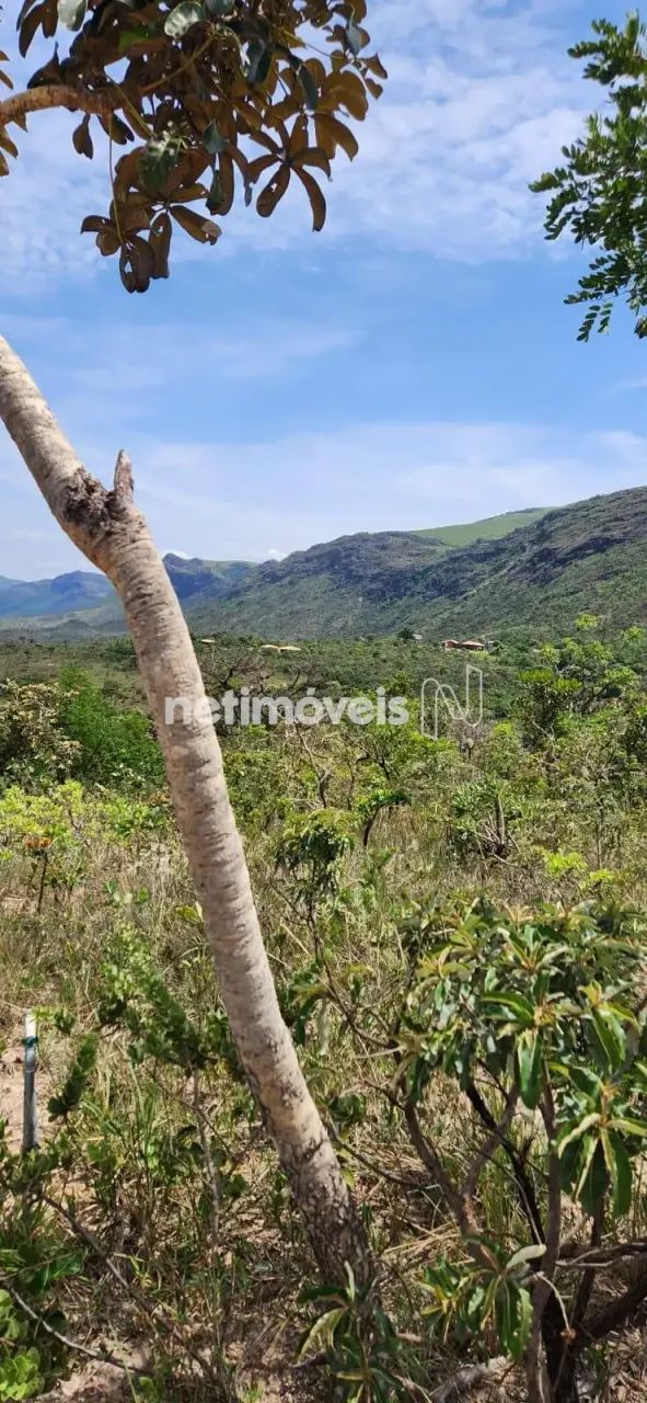 Venda Lote-Área-Terreno São Caetano da Moeda Moeda - Foto 3