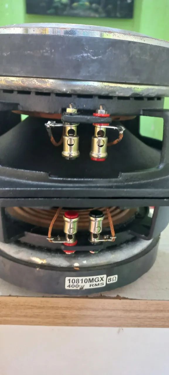 ALTO FALANTE MÉDIO 10 POLEGADAS  - Foto 2