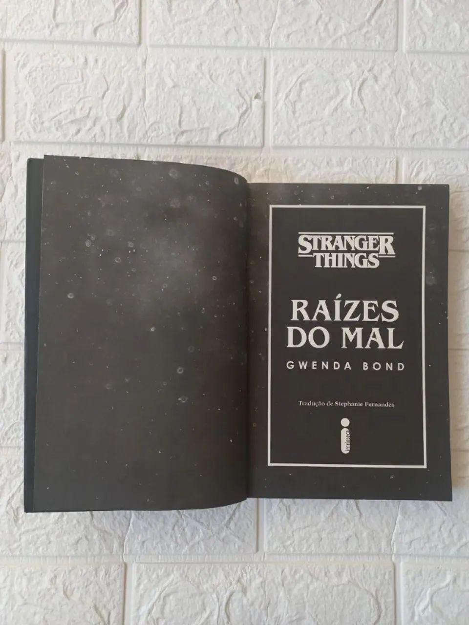 Livro Stranger Things - Foto 2