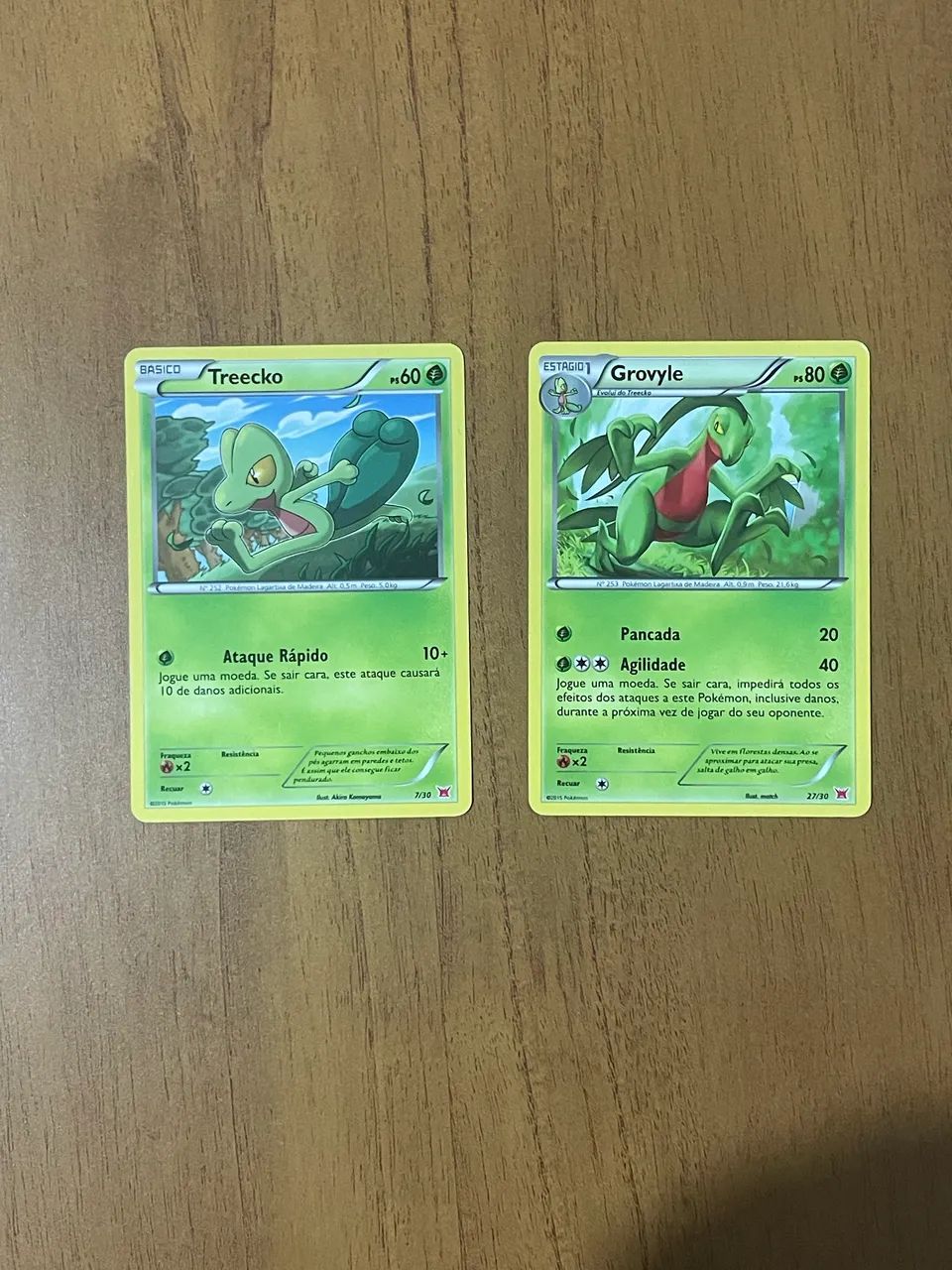 Carta pokemon treecko e grovyle