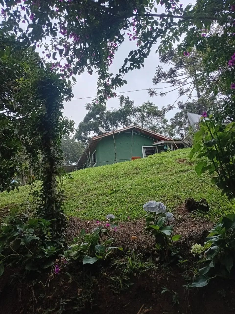 Chácara - Foto 4