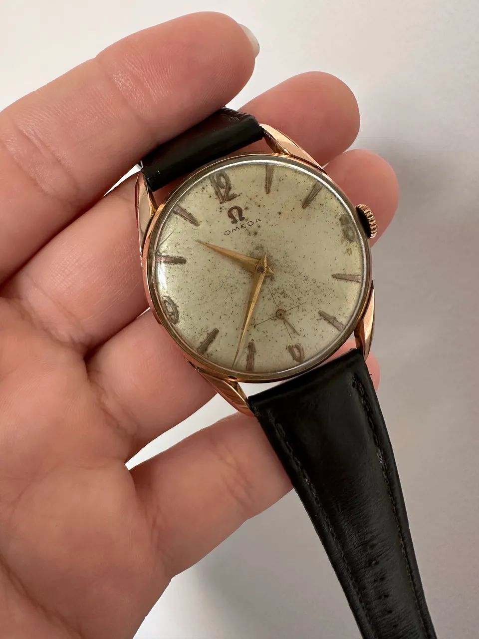 Omega Argentino  - Foto 2