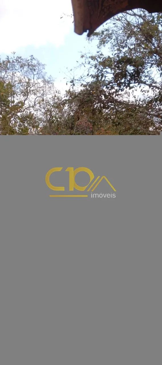 Terreno oportunidade, com pomar, arvores nativas. - Foto 4