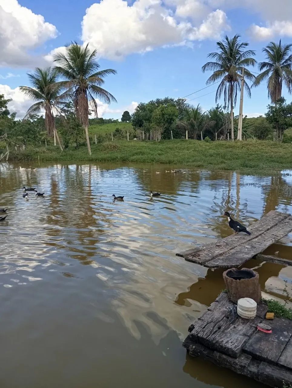 Fazenda a venda