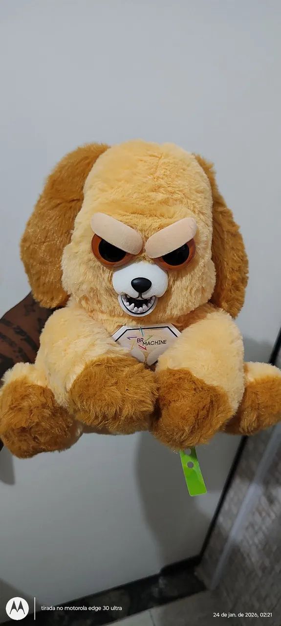 Feisty Br Machine lançamento. ? - Foto 3