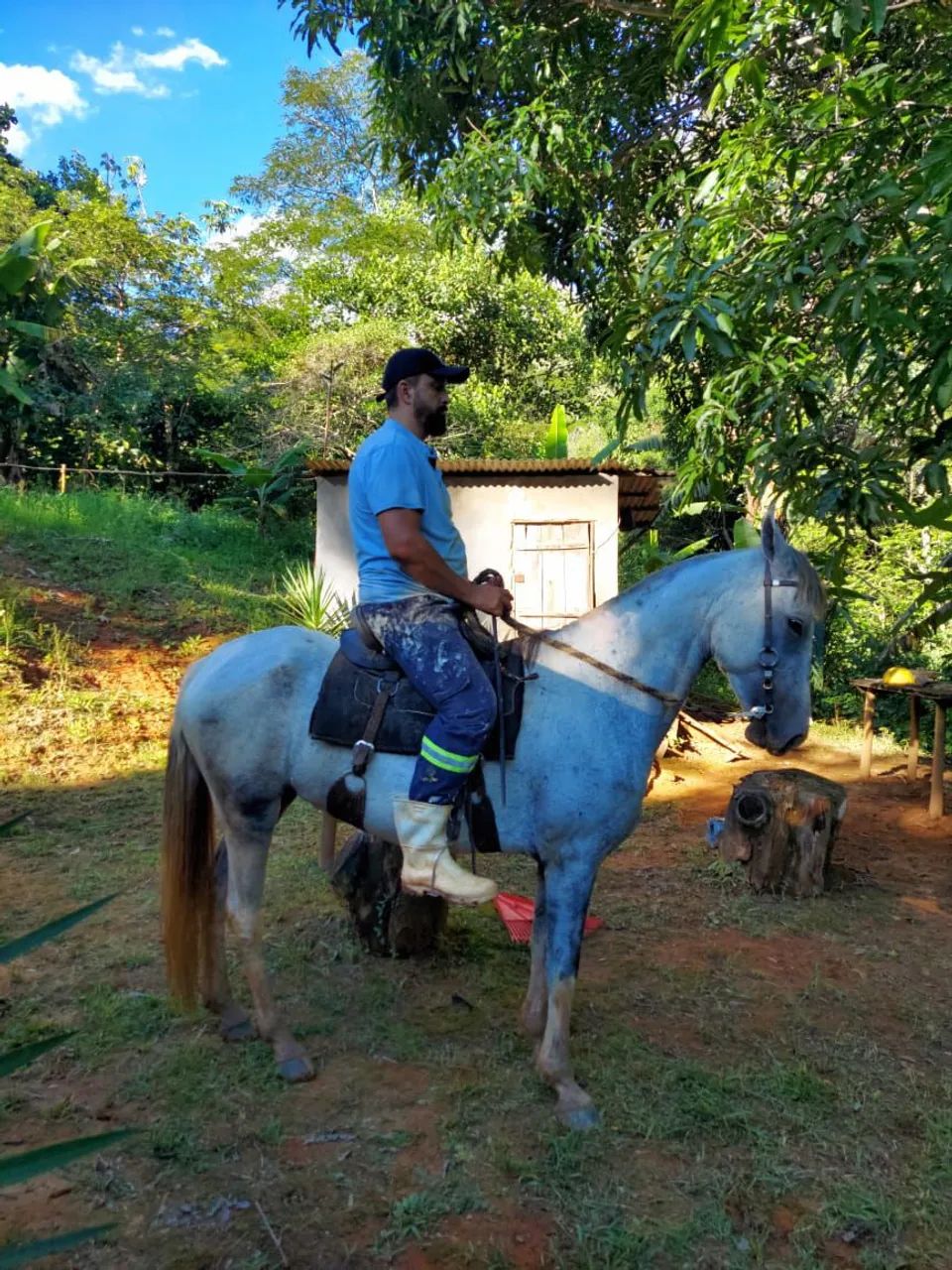 Vendo égua mangalarga  - Foto 2