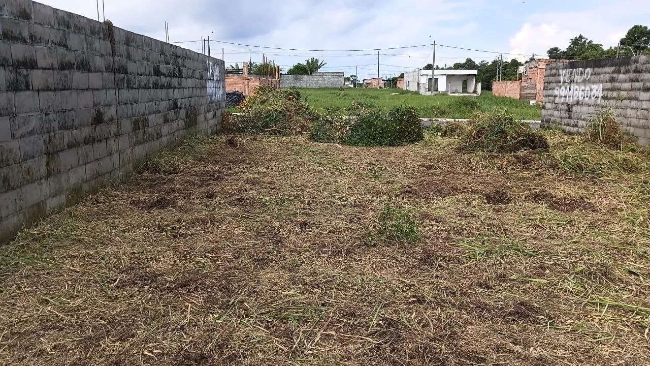 Lote 10X20 transferência 
