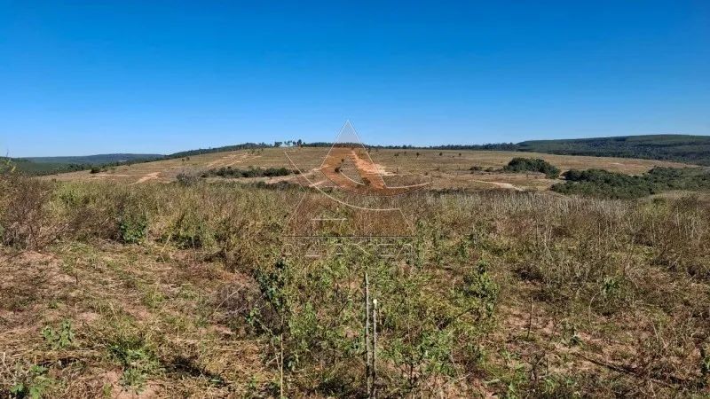 Fazenda - Anhembi - Zona Rural