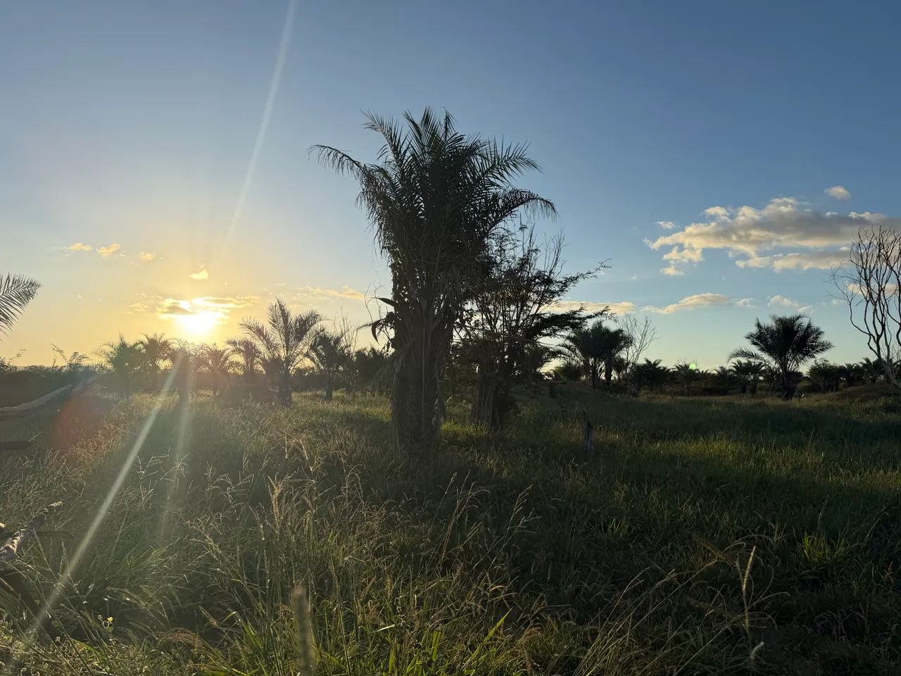 Venda - Foto 4