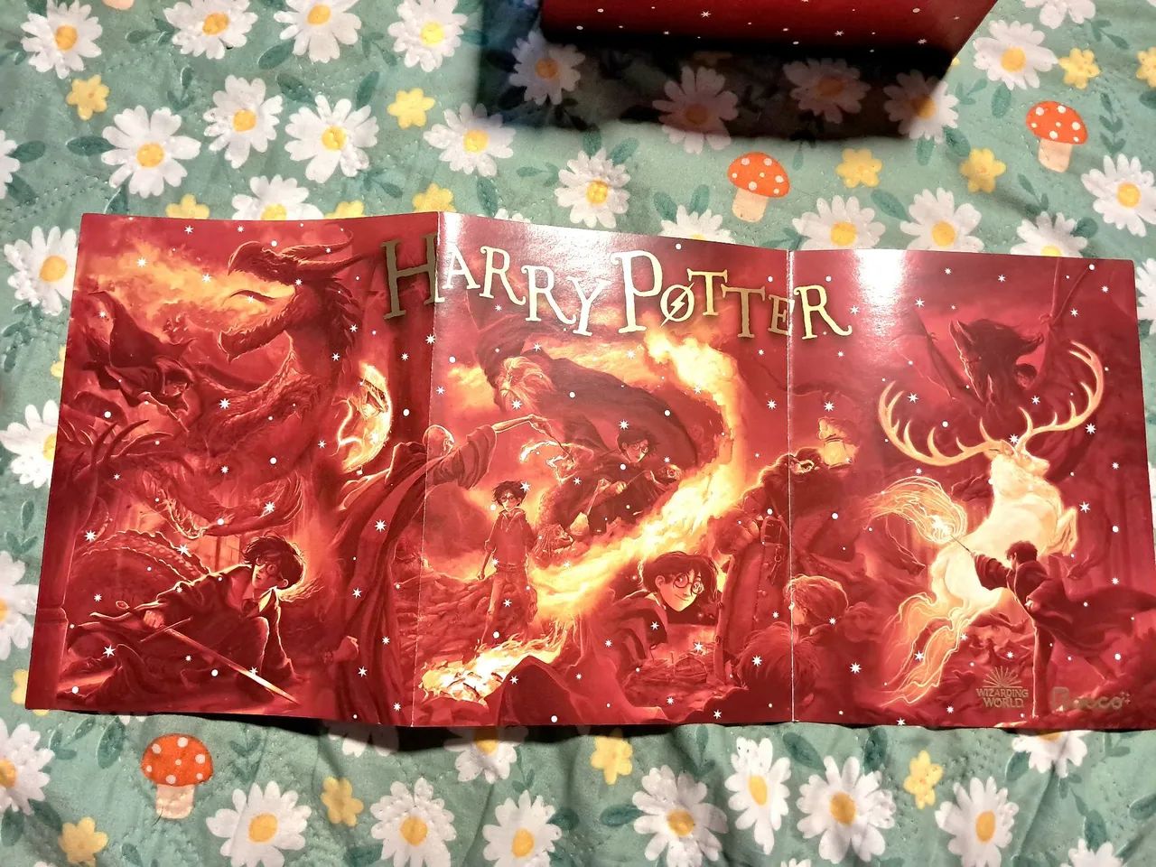 Box de Harry Potter  - Foto 4