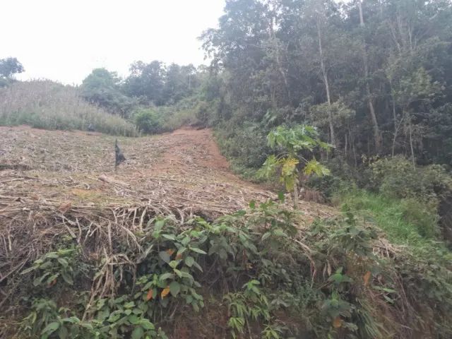 15 mil metros com riacho de água  - Foto 2