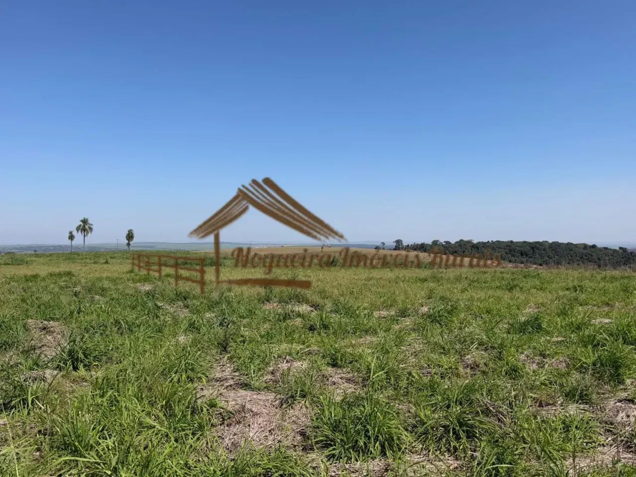 Sitio com 4 alqueires na região de Santa Maria da Serra-SP - Foto 3