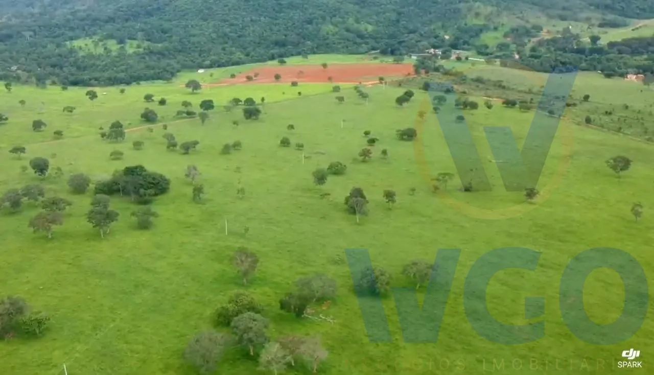 Fazenda para Venda em Pirenópolis, ZONA RURAL, 3 dormitórios, 1 suíte, 2 banheiros, 3 vaga - Foto 8
