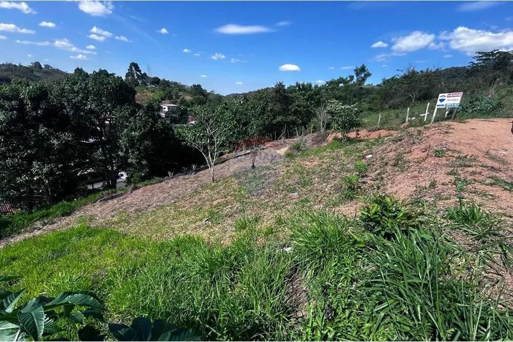 Terreno Manoel Monteiro Torres - Foto 2