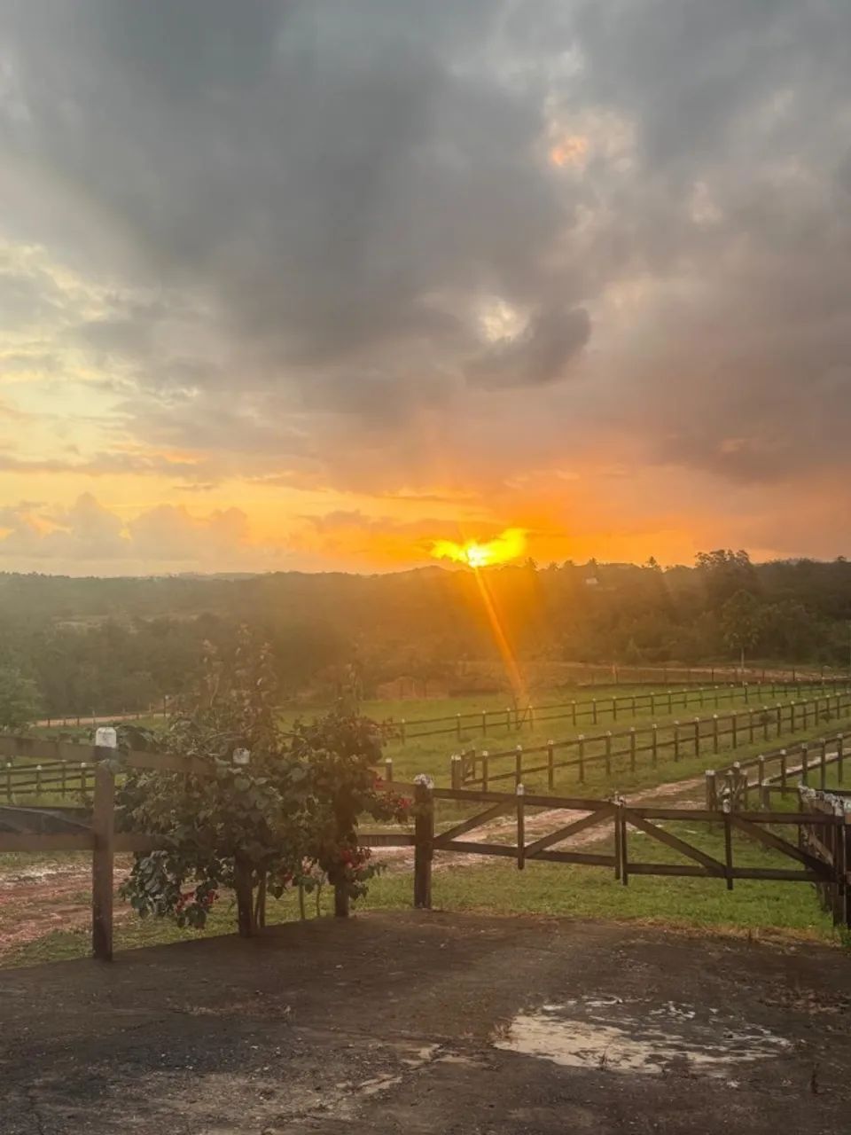 Rancho sítio  - Foto 2