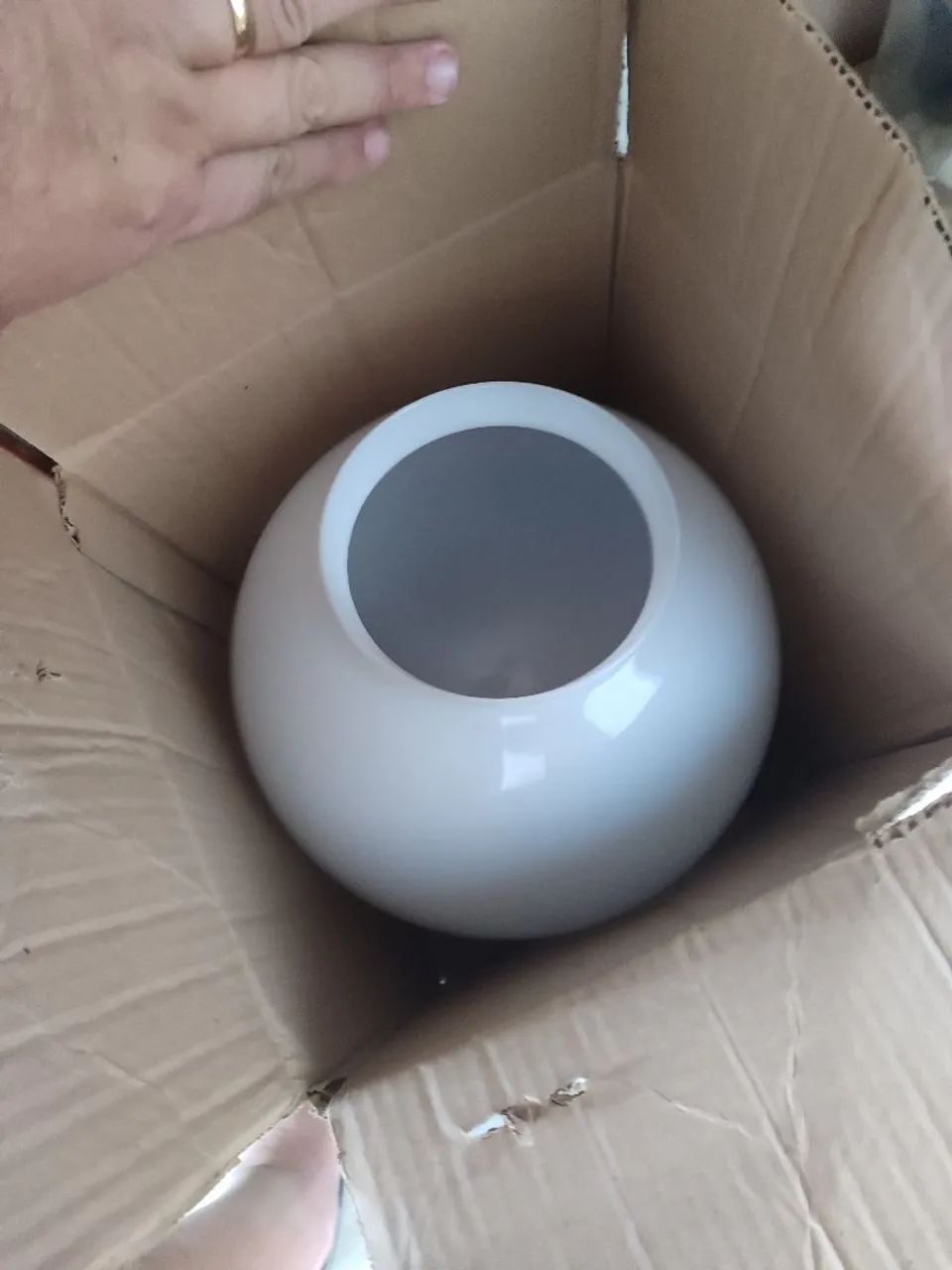 Globo de vidro  - Foto 2