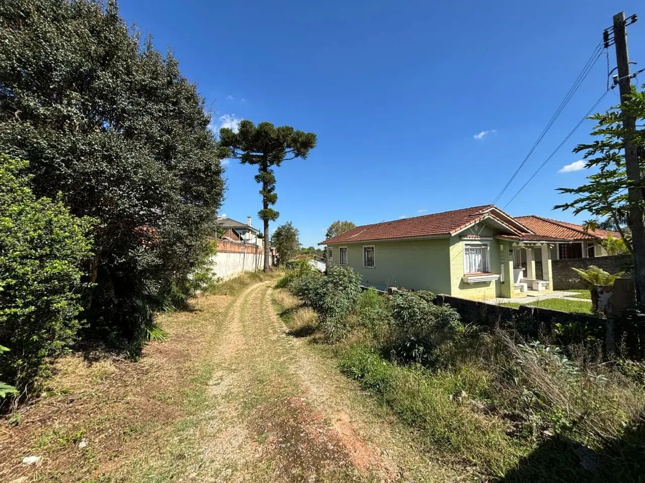 TERRENO SÃO BRAZ - Foto 5