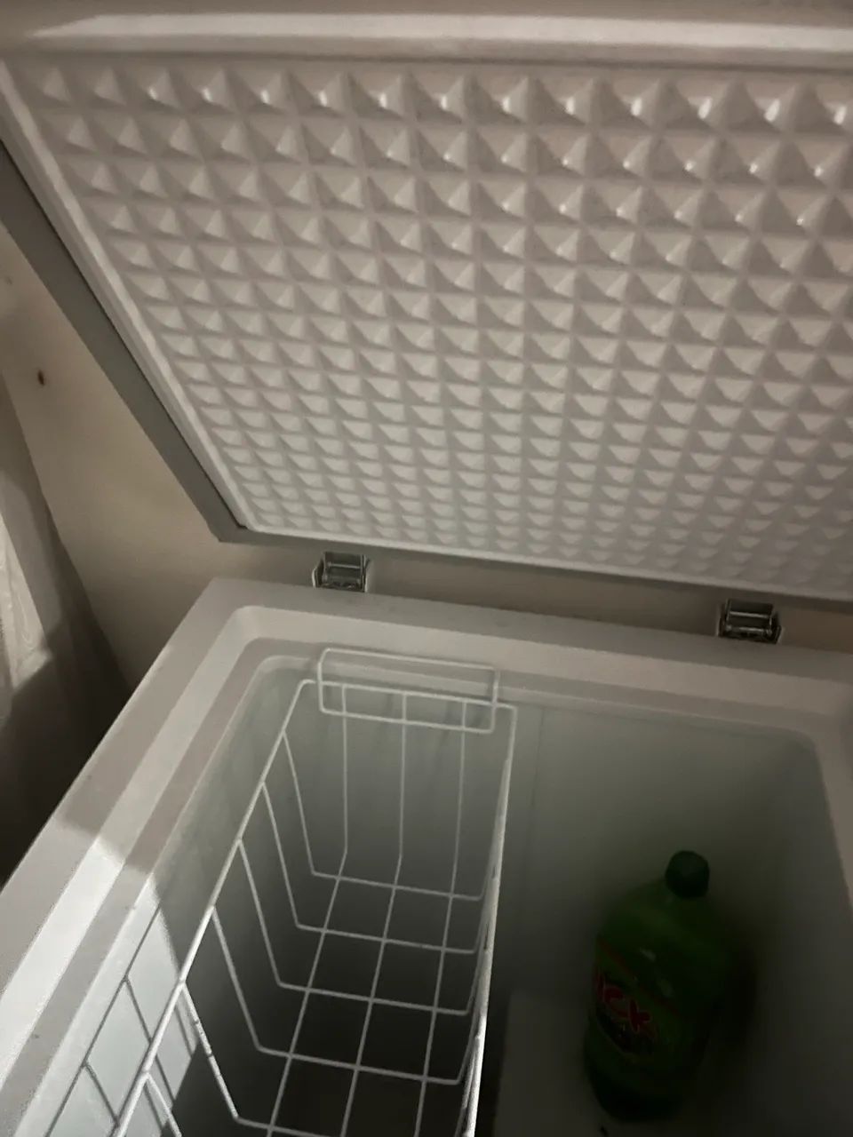 Freezer e Refrigerador Horizontal EOS 100 Litros EcoGelo EFH110X 220V - Foto 2