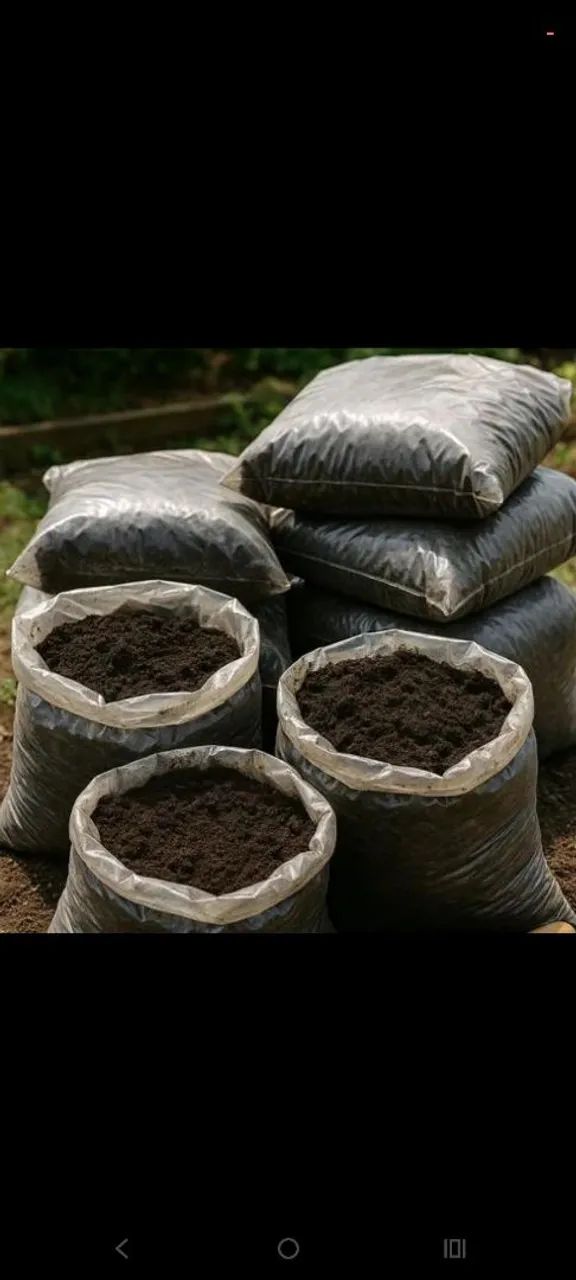Terra Preta Adubada - Foto 3
