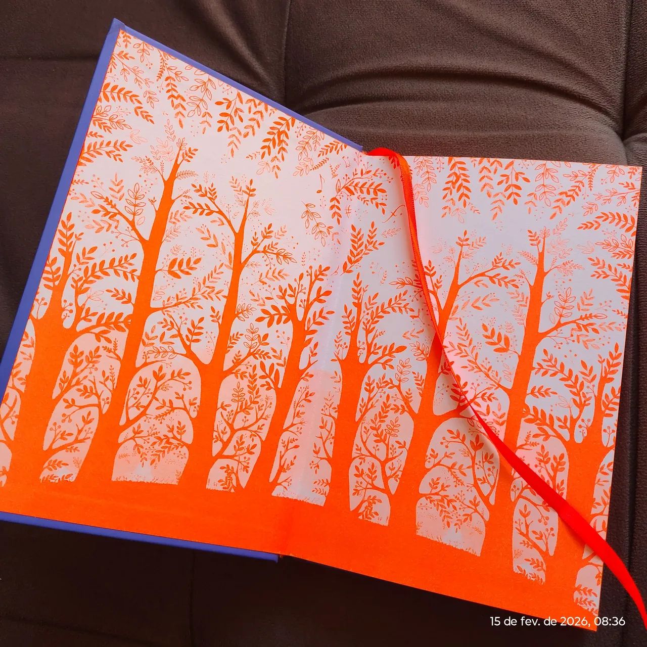 Livro Ecos _ Pam Munoz Ryan - Foto 4
