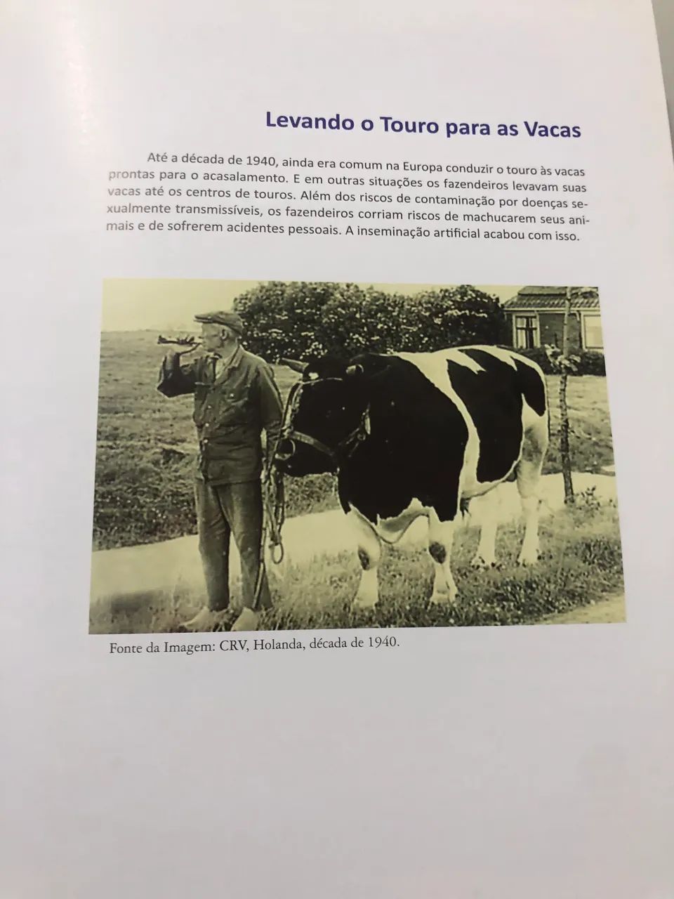 Livro a A História Ilustrada da Inseminação Artificial - Foto 3