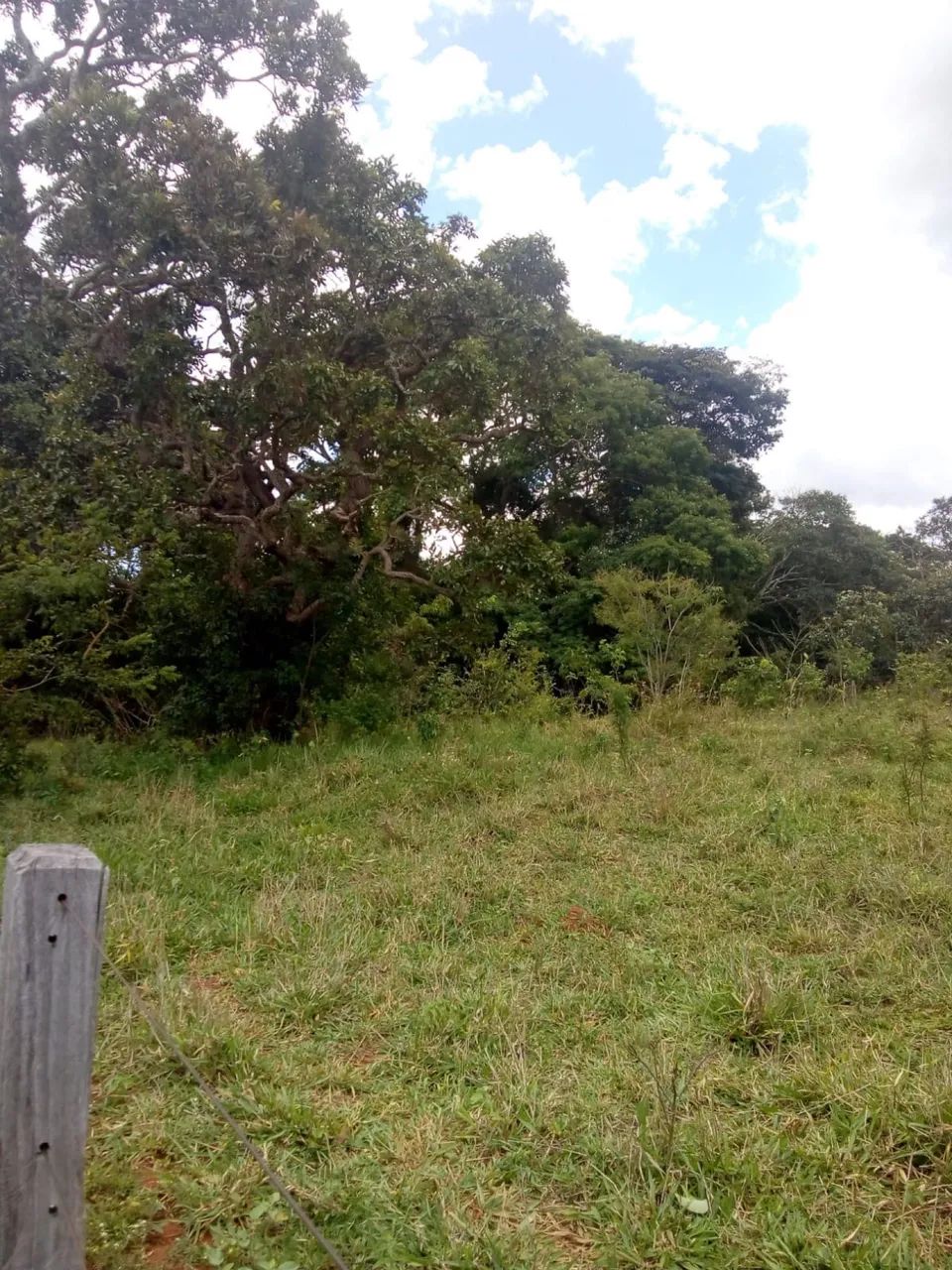 Chácara município de  Bonfinópolis,GO- 8 km da cidade - Foto 5