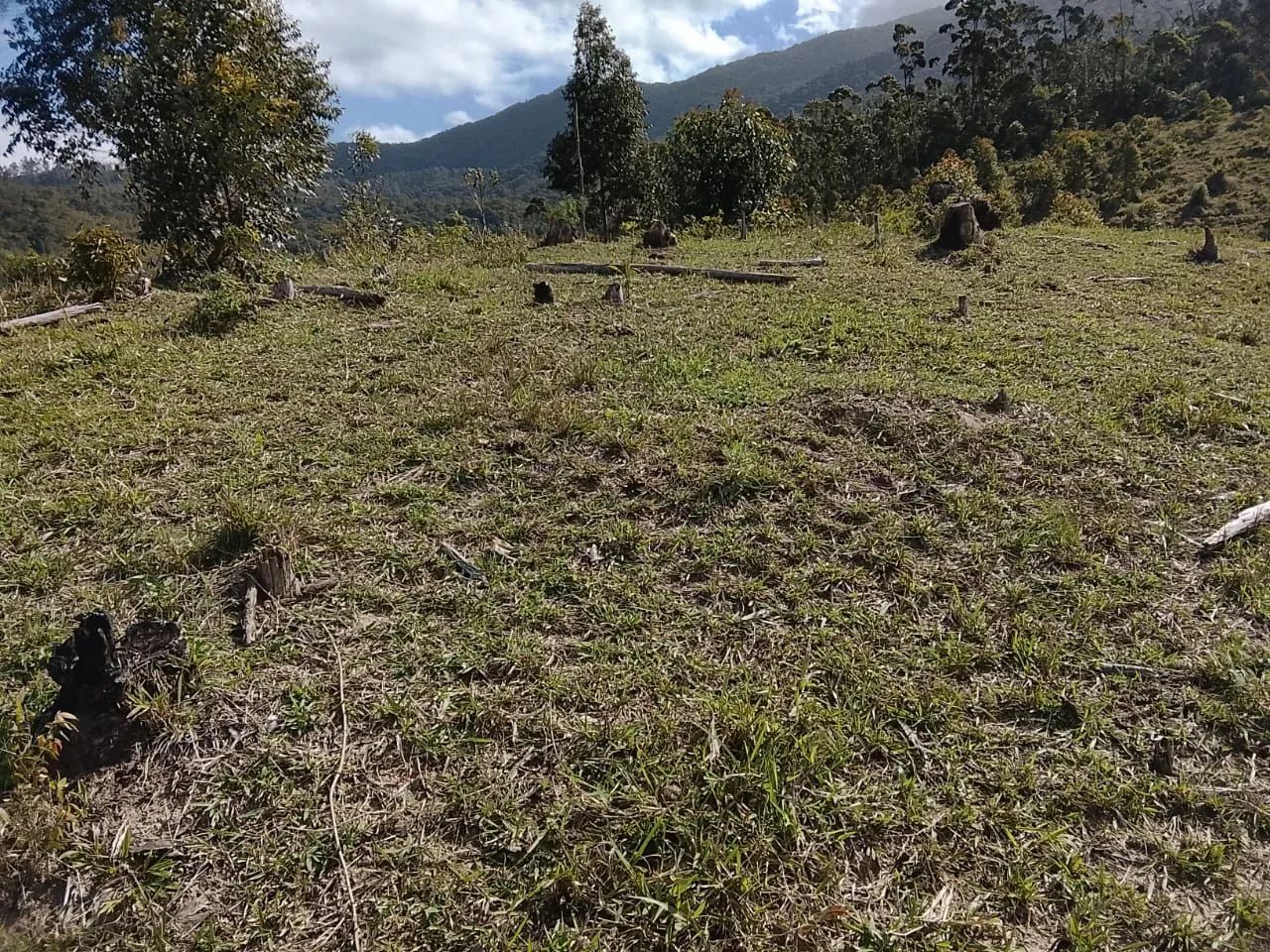 LINDO SÍTIO EM LARANJAL !  - Foto 4