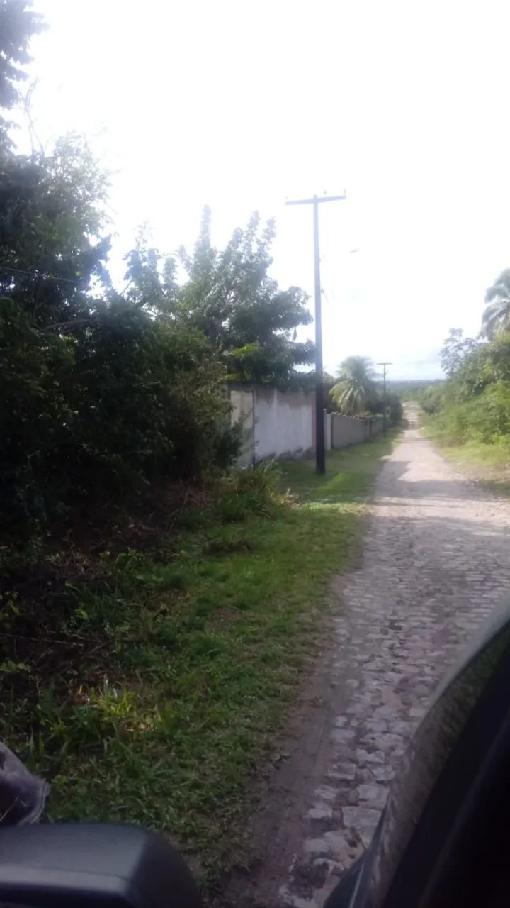 Terreno grande em mangabeira mede 20 X 60 (estrada de Macaíba) rua calçada - Foto 2