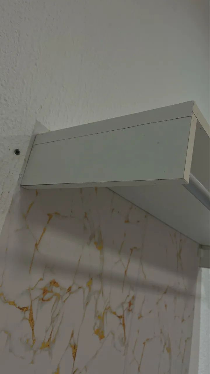 arara bem conservada - Foto 2