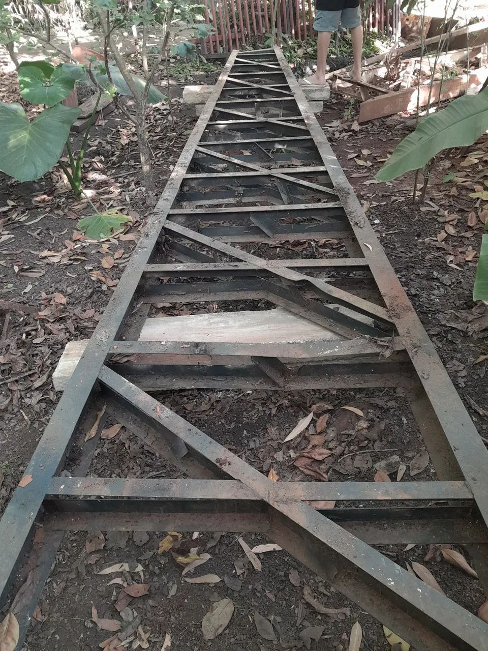 Tesouras de ferro 