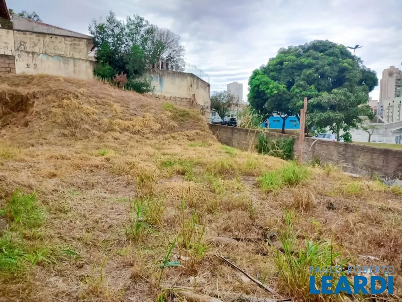 TERRENO - JARDIM VILA ROSA - SP - Foto 3