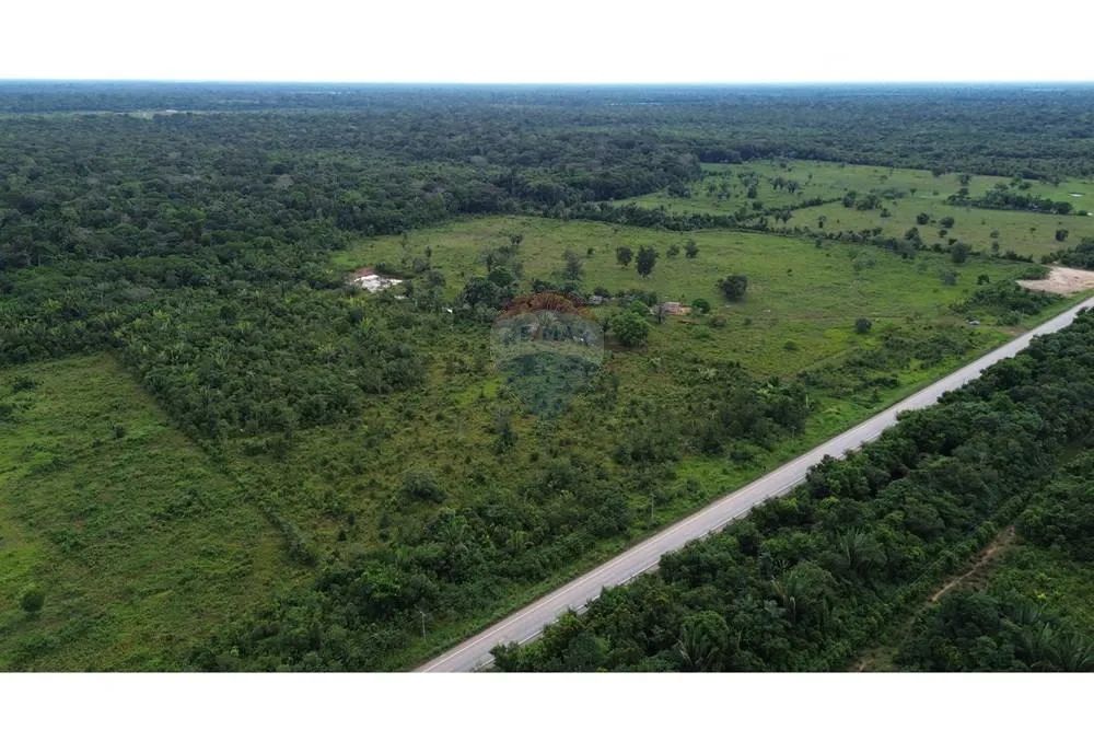 Sítio de 98 Hectares com 500 Metros de Frente para a BR-319 - Foto 2